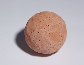 Pollen (8)